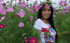 野花日本大全免费观看中文